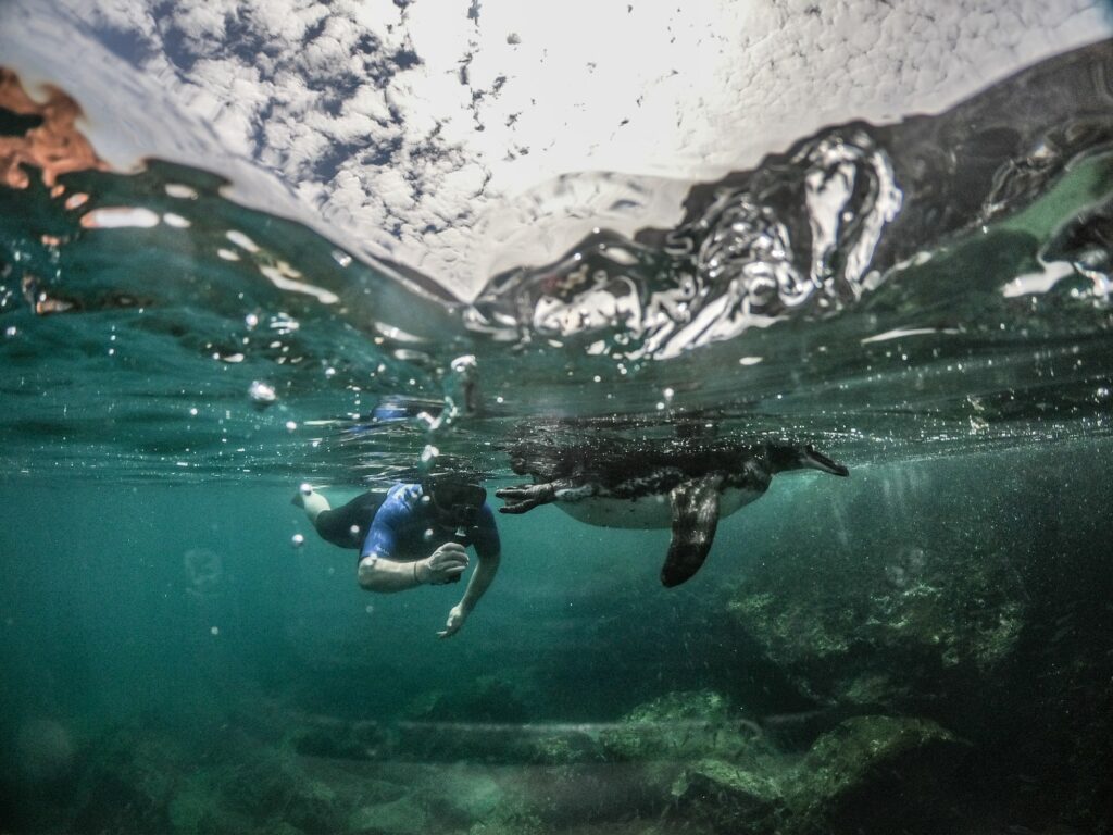 Snorkel en Galápagos
