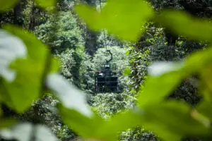 Mashpi Lodge is one of the best places to visit in Ecuador.