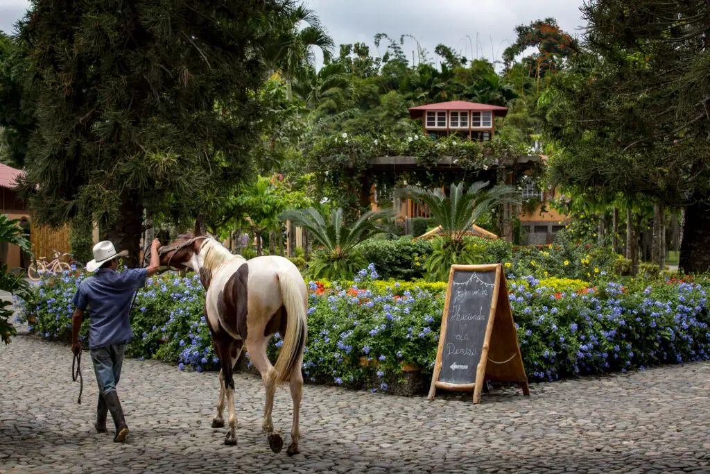 Hacienda La Danesa is a glimpse into Ecuadorian rural coastal life. 