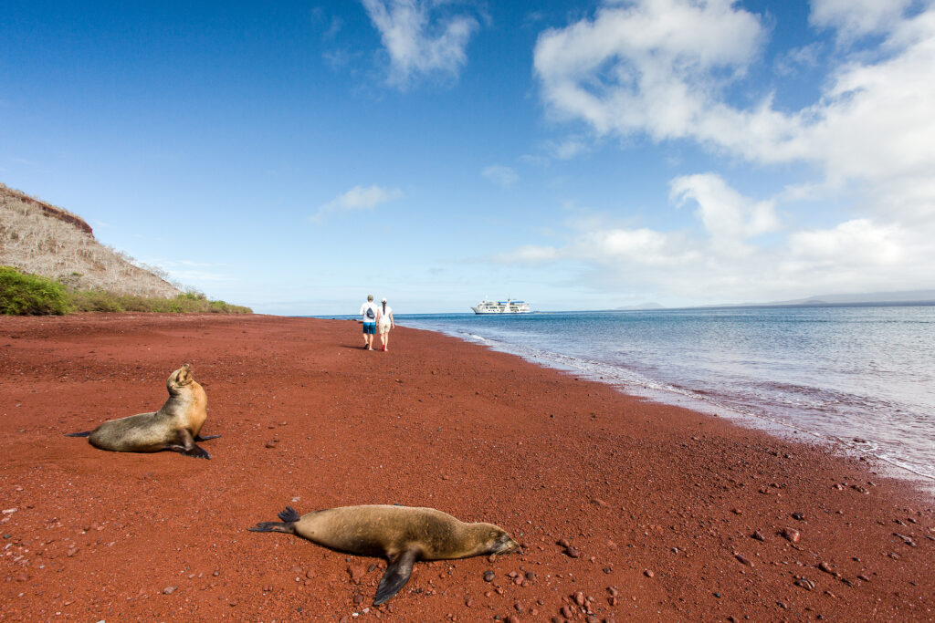 Buques de expedición vs cruceros en Galápagos