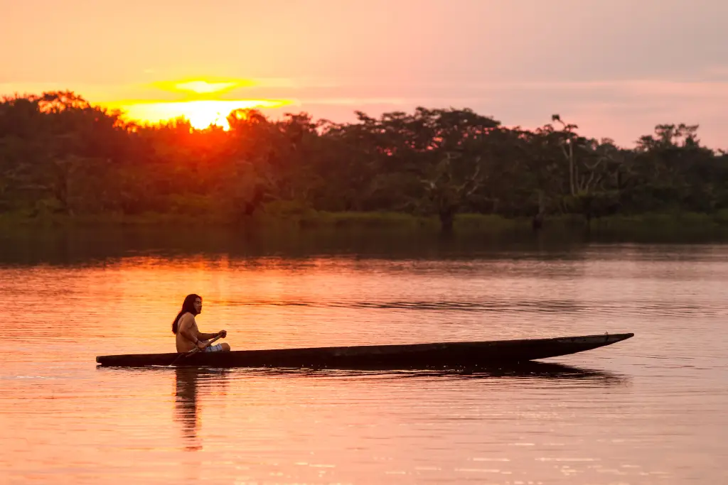Napo River at Cuyabeno Reserve.
