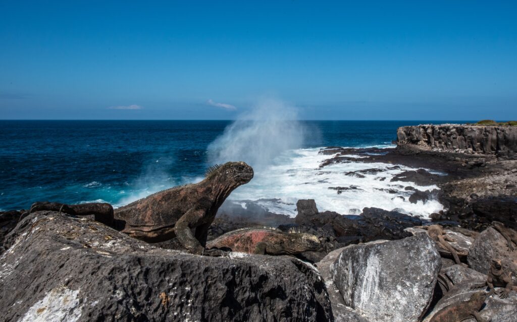 Galápagos, uno de los mejores lugares para visitar en Sudamérica