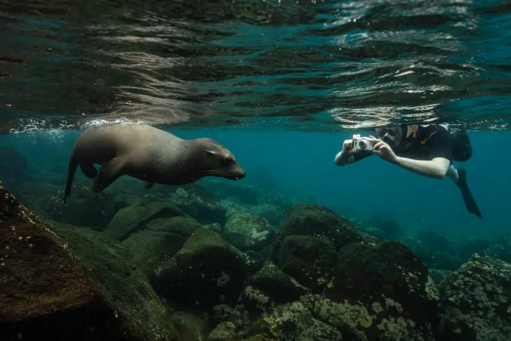 Respecting wildlife enhances Galapagos safety. 