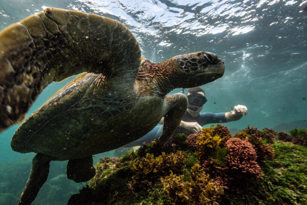 Galapagos Islands' Location: Complete Travel Guide